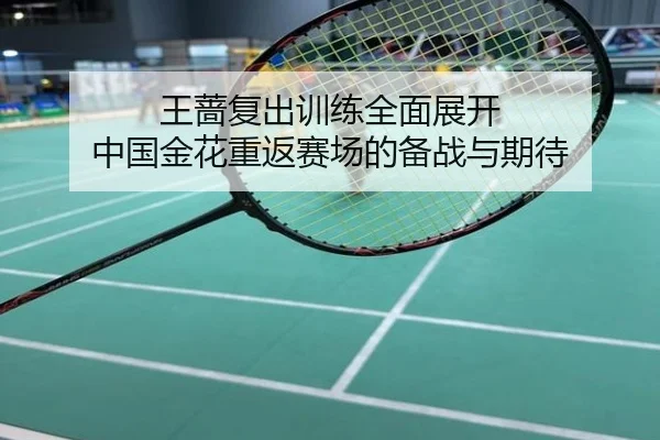 王蔷复出训练全面展开 中国金花重返赛场的备战与期待
