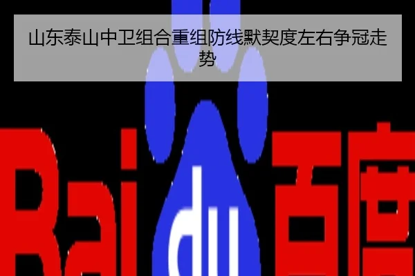 山东泰山中卫组合重组防线默契度左右争冠走势